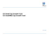 Small Growth Fund_I_Shares Pitchbook 4Q20